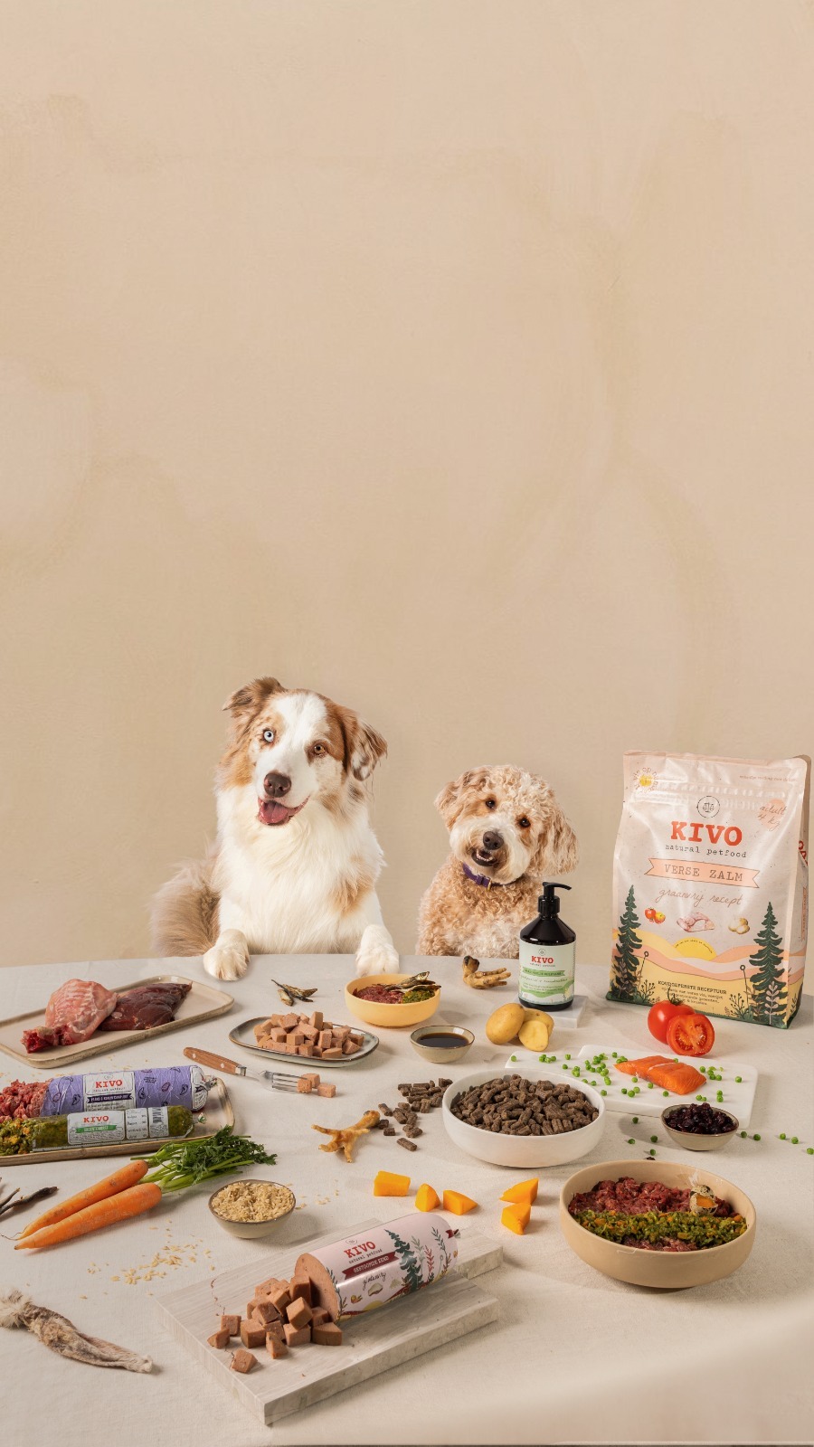 PHOTO-2023-12-10-12-12-10